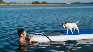 Köpek Jack Russell Terrier sahibi ile birlikte sörf tahtasında yüzüyor. Bir kadın ve evcil hayvanı gölde birlikte vakit geçiriyorlar..
