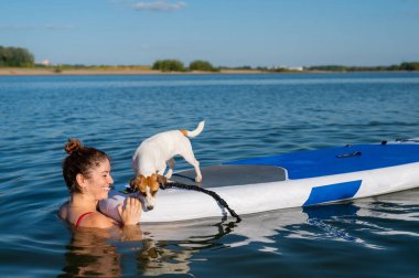 Köpek Jack Russell Terrier sahibi ile birlikte sörf tahtasında yüzüyor. Bir kadın ve evcil hayvanı gölde birlikte vakit geçiriyorlar..