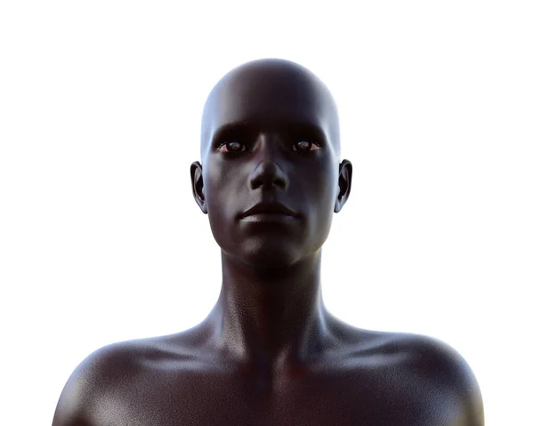 Ilustrace Mužského Černého Trupu Bílém Pozadí Kovová Figurína — Stock fotografie
