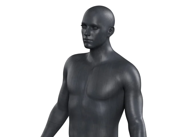 白色背景上的男性黑色躯干的3D图像 金属人体模型 — 图库照片