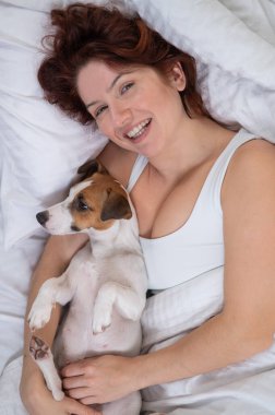 Jack Russell Terrier köpeği yatağında sahibine sarılıyor.