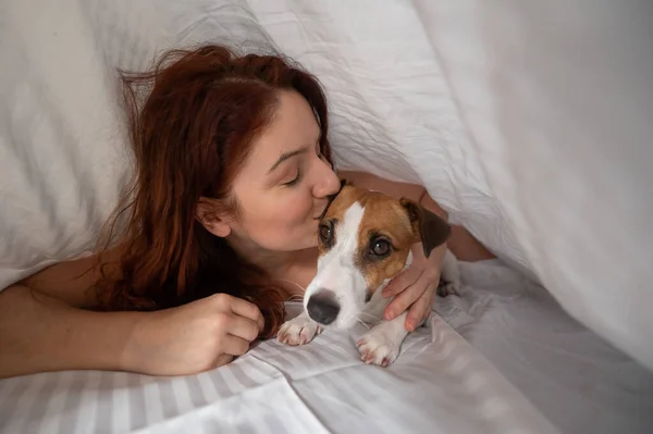 Biała Rudowłosa Kobieta Śpi Uścisku Psem Terrier Jackiem Russellem Białym — Zdjęcie stockowe