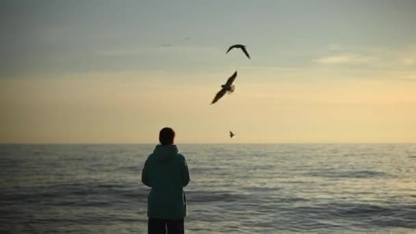 Λευκή Γυναίκα Που Ταΐζει Γλάρους Στη Θάλασσα Ηλιοβασίλεμα — Αρχείο Βίντεο