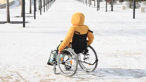 坐在轮椅上的女人挥手叫人跟在她后面在冬季公园里 — 图库视频影像