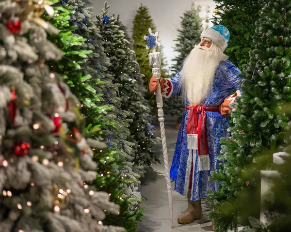 Ρωσική Άγιος Βασίλης Προσωπικό Ένα Κατάστημα Τεχνητών Χριστουγεννιάτικων Δέντρων — Φωτογραφία Αρχείου