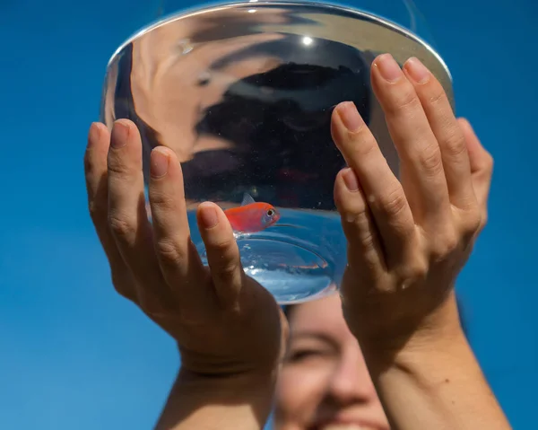 Женщина Держит Вокруг Аквариума Золотыми Рыбками Голубом Фоне Неба — стоковое фото