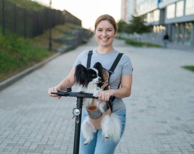 Bir kadın sırt çantasında bir köpekle elektrikli scooter kullanıyor. Pappilion Spaniel Continental askıda