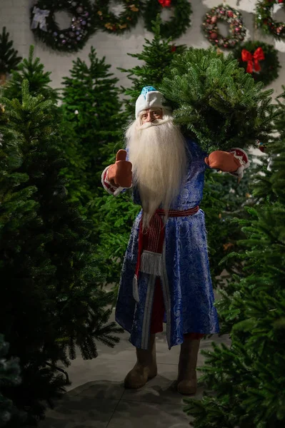 Papá Noel Ruso Compra Árbol Navidad Tienda —  Fotos de Stock