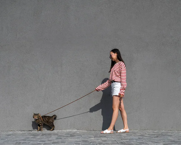 Una Giovane Donna Cammina Con Gatto Tabby Grigio Guinzaglio Contro — Foto Stock