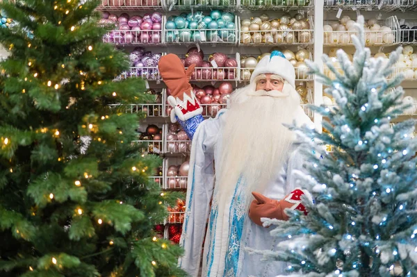 Russian Santa Claus Chooses Decorations Christmas Tree — Stock Photo, Image