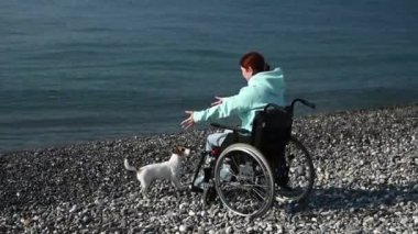 Tekerlekli sandalyedeki beyaz kadın deniz kenarında bir köpeğe sarılıyor.