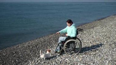 Tekerlekli sandalyedeki beyaz kadın deniz kıyısında bir köpekle oynuyor.