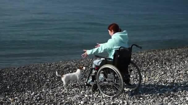 Mujer Caucásica Silla Ruedas Abrazándose Con Perro Cerca Del Mar — Vídeos de Stock