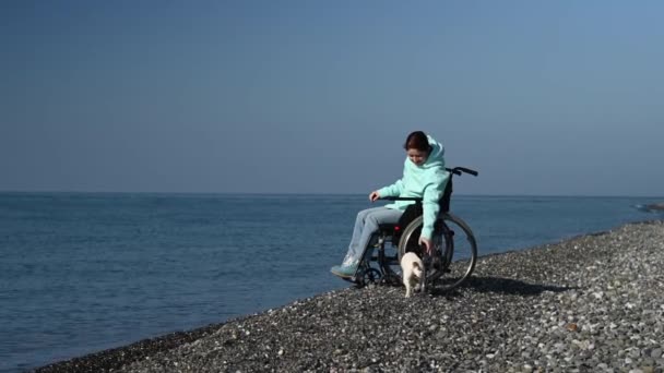 Vit Kvinna Rullstol Leker Med Hund Stranden — Stockvideo