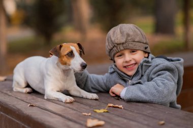 Jack Russell Terrier köpeği bir sonbahar parkında bir çocukla yürüyüş yapmak için bankta oturur.