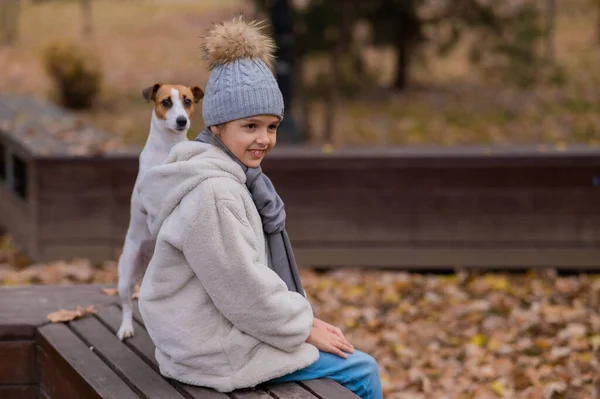 Caucasian Girl Sits Bench Dog Jack Russell Terrier Walk Autumn — Stock Photo, Image