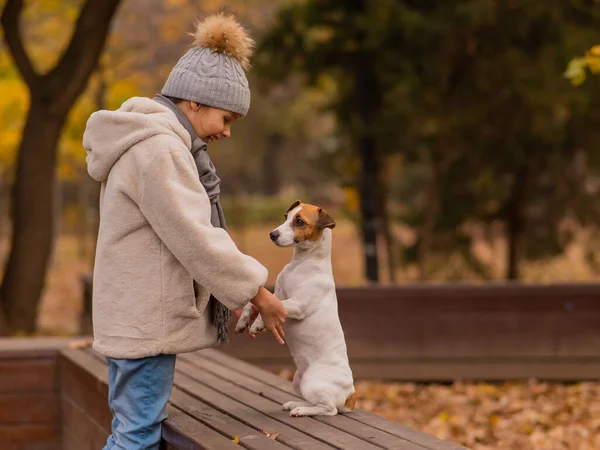 Vit Flicka Som Håller Hund Vid Tassarna För Promenad Höstparken — Stockfoto