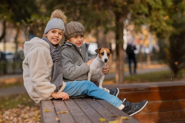 Брат Сестра Сидят Объятиях Собакой Скамейке Прогулки Осеннем Парке Мальчик — стоковое фото
