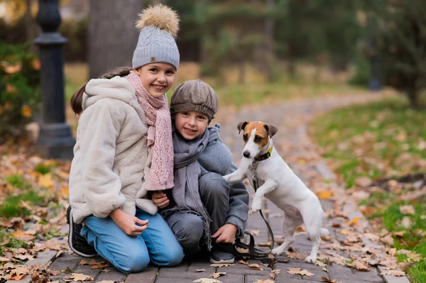 白人男の子と女の子座っ歩道にジャックRussellテリア犬で公園で秋 — ストック写真