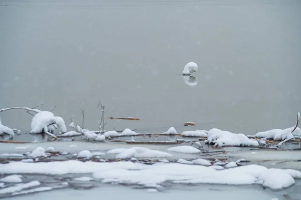 Zmrzlé Jezero Během Sněžení Zimní Zasněžená Krajina — Stock fotografie