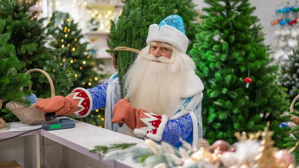 Russian Santa Claus Pays Credit Card Store Artificial Christmas Trees — Stock Photo, Image
