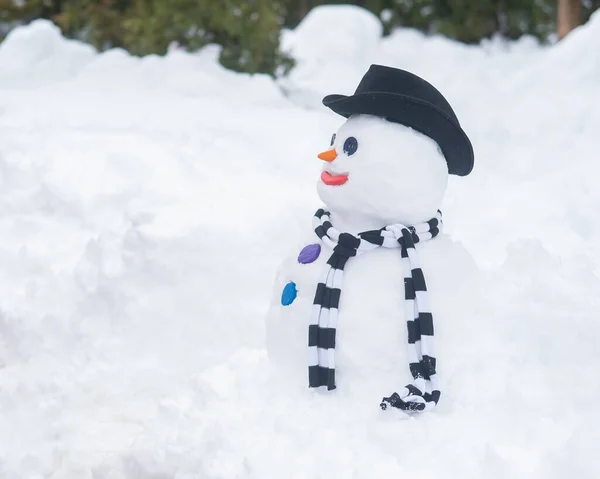 帽子の雪だるまと縞模様のスカーフ 冬の楽しみ — ストック写真