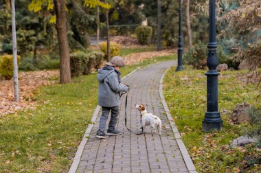 Çocuk parkta köpek Jack Russell Terrier ile koşuyor. Sonbahar Yürüyüşü