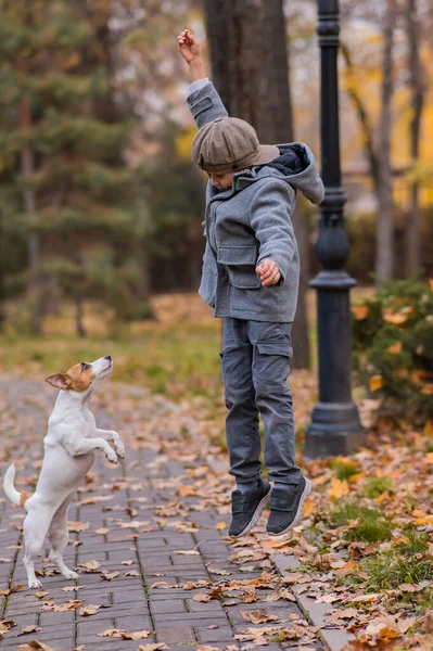 Кавказский Мальчик Играет Собакой Прогулке Осеннем Парке — стоковое фото