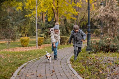 Erkek ve kız kardeş sonbaharda köpeği parkta gezdirir. Oğlan ve kız tasmalı Jack Russell Terrier ile koşuyorlar.