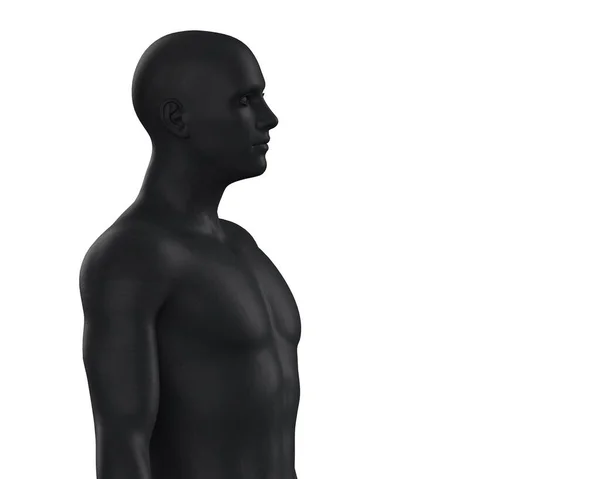 Illustration Eines Männlichen Schwarzen Torsos Auf Weißem Hintergrund Schaufensterpuppe Aus — Stockfoto