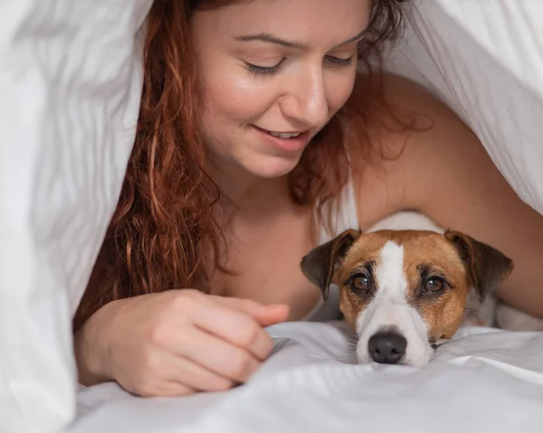 Mulher Cabelos Vermelhos Caucasiana Dorme Abraço Com Cão Terrier Jack — Fotografia de Stock