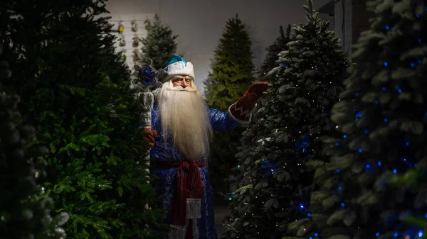 Ruský Santa Claus Personálem Obchodě Umělé Vánoční Stromky — Stock fotografie
