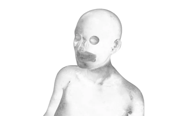 Modello Tridimensionale Ritratto Donna Calva Nuda Trasparente Sfondo Bianco — Foto Stock