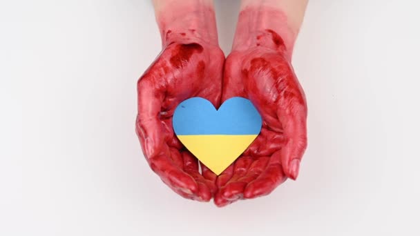 女性は白い背景にウクライナのフラグで心を保持彼女の血のヤシを閉じます — ストック動画