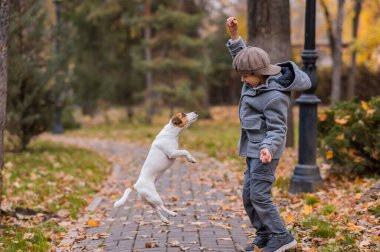 Beyaz çocuk sonbahar parkında bir köpekle yürüyüşe çıkıyor.