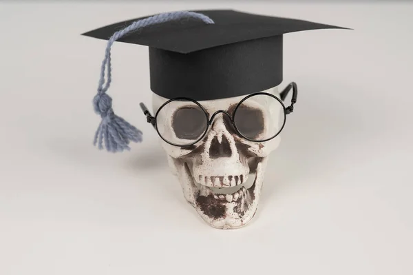 Akademik Şapkalı Gözlüklü Oyuncak Plastik Kafatası — Stok fotoğraf