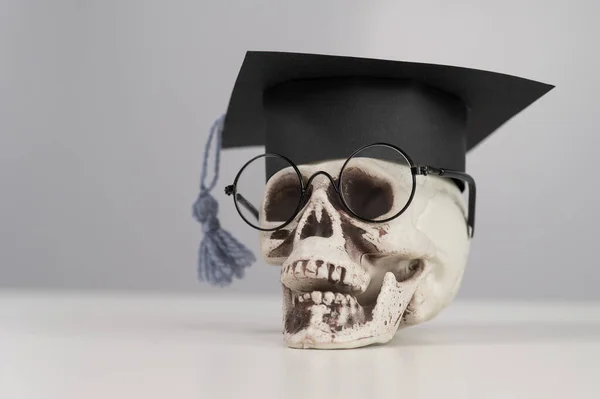 おもちゃプラスチック頭蓋骨で学術的な帽子と眼鏡 — ストック写真
