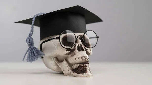 Leksakshuvud Plast Med Akademisk Hatt Och Glasögon — Stockfoto