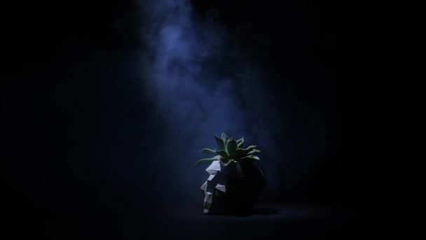 Rauch Über Einer Pflanze Einem Topf Form Eines Totenkopfes Auf — Stockvideo