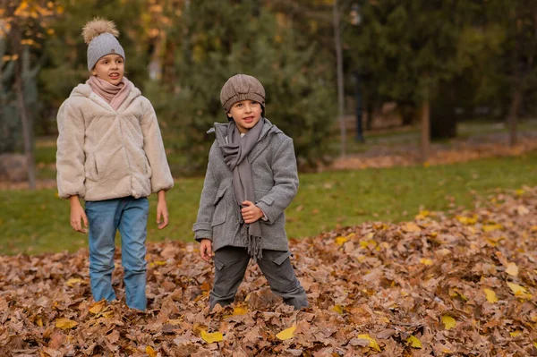 Caucasian Children Walk Autumn Park Brother Sister Coats — Stock Photo, Image