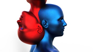 3 boyutlu görüntüleme. Beyaz arka planda bir erkek mavi kafa ve kırmızı bir kadının birleşmesi.