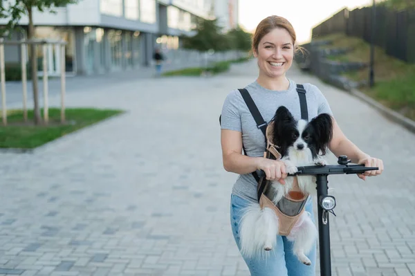 Kvinna Åker Elektrisk Skoter Med Hund Ryggsäck Pappilion Spaniel Continental — Stockfoto