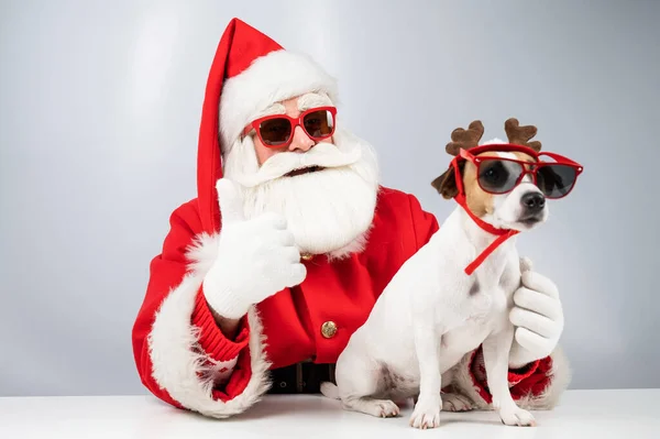 Santa Claus Και Santas Βοηθός Γυαλιά Ηλίου Λευκό Φόντο Τζακ — Φωτογραφία Αρχείου