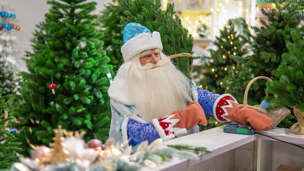Русский Санта Клаус Платит Кредитной Картой Магазине Искусственных Елок — стоковое фото