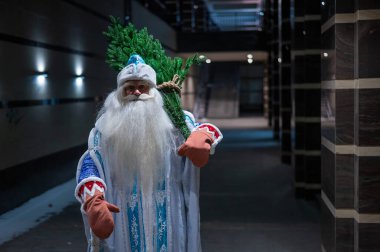 Rus Noel Baba geceleri dışarıda bir Noel ağacı taşır.