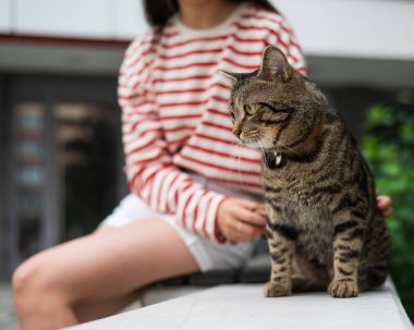 Genç bir kadın ve tekir kedi açık bir bankta oturuyor.