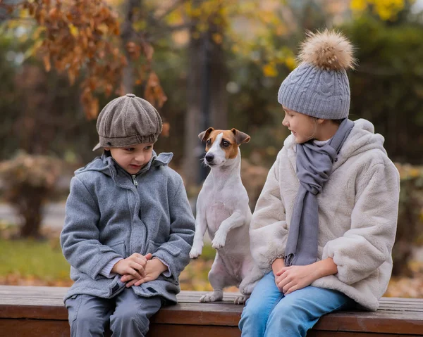 兄弟姉妹は秋の公園を散歩するためにベンチに犬と抱擁で座っています 少年少女とジャック ラッセル テリア — ストック写真