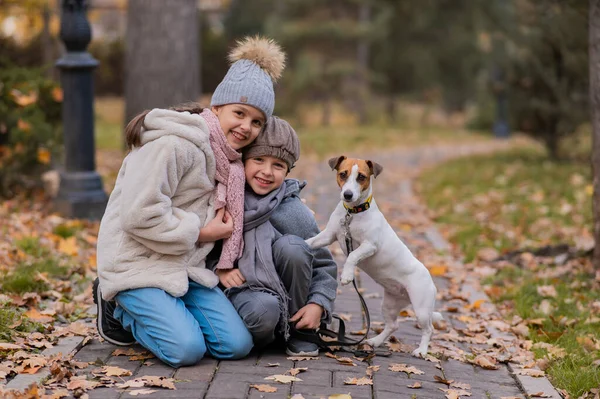 Kaukaski Chłopiec Dziewczyna Pozowanie Chodnik Jack Russell Terrier Pies Parku — Zdjęcie stockowe
