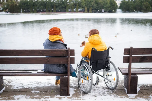 Kaukasierin Rollstuhl Und Ihr Freund Sitzen Winter Mit Enten See — Stockfoto