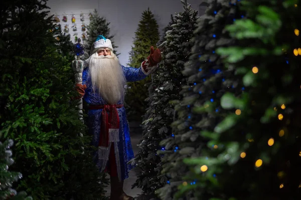 Ρωσική Άγιος Βασίλης Προσωπικό Ένα Κατάστημα Τεχνητών Χριστουγεννιάτικων Δέντρων — Φωτογραφία Αρχείου